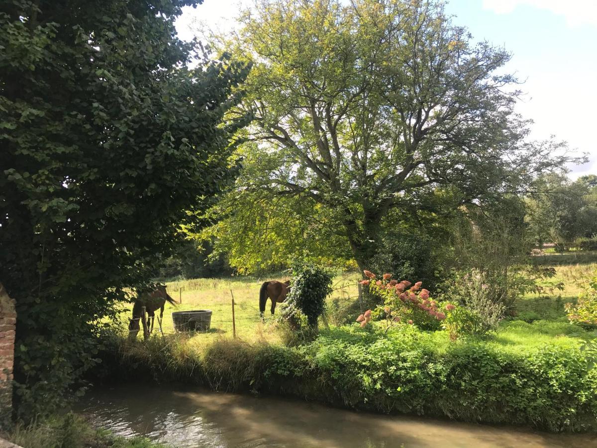 Maison Au Bord De Riviere , Proche De La Mer- Spa Semi Rigide Plein Air En Option Bacqueville-en-Caux المظهر الخارجي الصورة